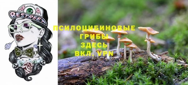 мяу мяу мука Краснослободск